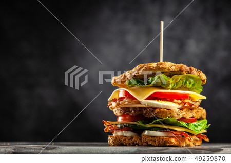 Tall club sandwich Tall club sandwich 49259870