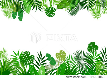 Background material of tropical plants Background material of tropical plants 49261069