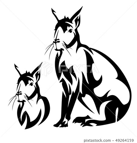 patagonian mara black vector outline patagonian mara black vector outline 49264159