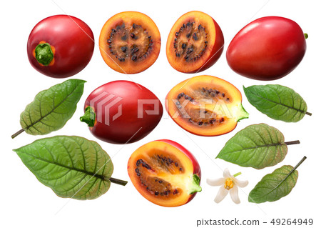 Tamarillo s. betaceum elements, paths Tamarillo s. betaceum elements, paths 49264949