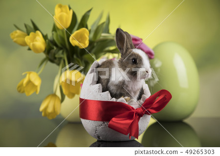 Easter decoration, rabbits,eggs and flowers Easter decoration, rabbits,eggs and flowers 49265303