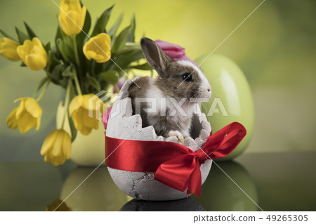 Easter decoration, rabbits,eggs and flowers Easter decoration, rabbits,eggs and flowers 49265305
