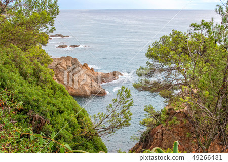 Sea view from Santa Clotilde gardens, Catalonia 49266481