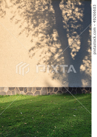 Tree shadow in building wall 49266683