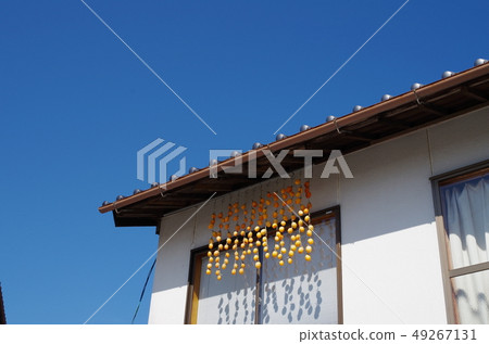 Dried persimmon 49267131