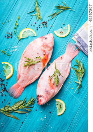 Raw fresh fish Raw fresh fish 49267897