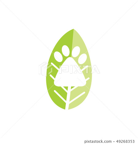 Leaf Logo Design Vector Template Isolated Leaf Logo Design Vector Template Isolated 49268353