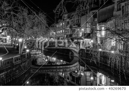 城崎溫泉大磯河和柳樹 城崎溫泉大磯河和柳樹 49269670