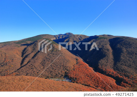 Mountain, Mountain, Mt. Halla, Ecology, 49271425