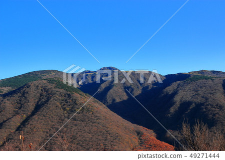 Mountain, Mountain, Mt. Halla, Ecology, 49271444