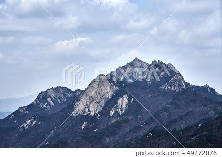 Beginning in early spring of 2019, 49272076