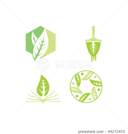 Leaf Logo Design Vector Template Set 49272455
