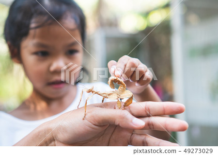 asian girl looking and touching leaf grasshopper asian girl looking and touching leaf grasshopper 49273029