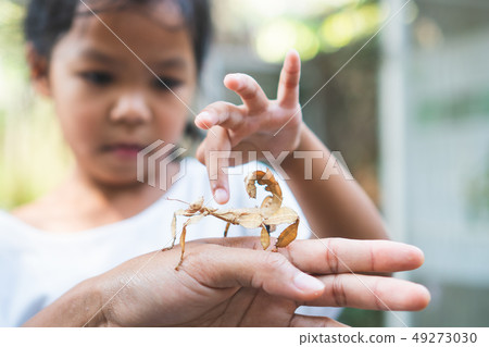 asian girl looking and touching leaf grasshopper asian girl looking and touching leaf grasshopper 49273030