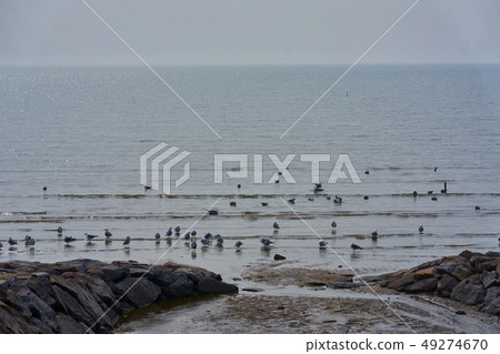 In early spring 2019, In early spring 2019, 49274670