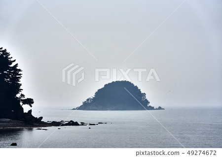 In early spring 2019, 49274672