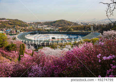 Bucheon Sports Complex 49274799
