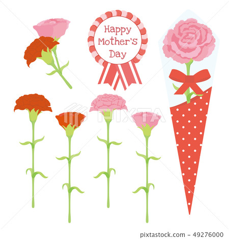 Mother's Day Carnation Set 49276000