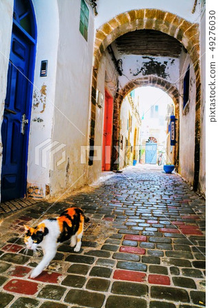 Essaouira Essaouira 49276030