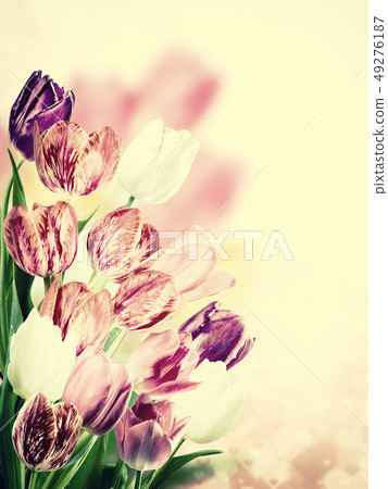Lovely flowers Lovely flowers 49276187