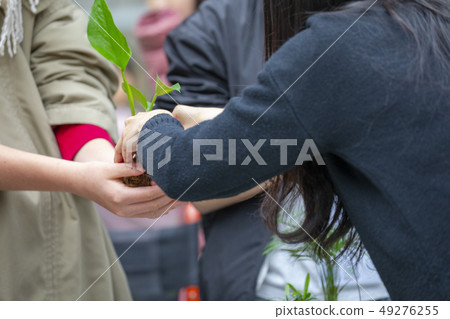 一群人,植樹,木を植える人々のグループ, planting trees, 一群人,植樹,木を植える人々のグループ, planting trees, 49276255