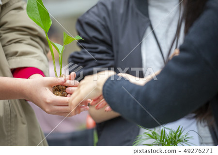 一群人,植樹,木を植える人々のグループ, planting trees, 一群人,植樹,木を植える人々のグループ, planting trees, 49276271