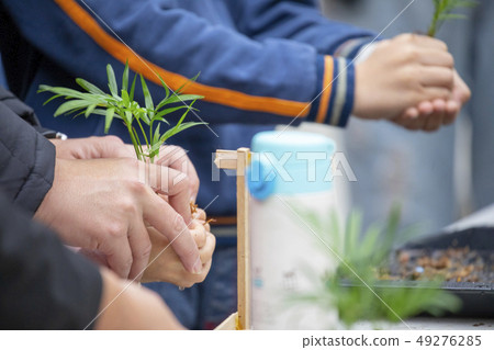 一群人，植樹，木を植える人々のグループ, planting trees, 49276285