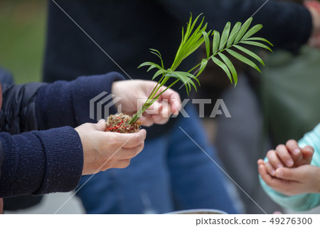 一群人,植樹,木を植える人々のグループ, planting trees, 一群人,植樹,木を植える人々のグループ, planting trees, 49276300