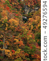 Autumn leaves of Naruko gorge 49276594