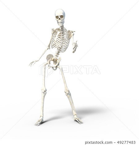 Skeleton skeleton skeleton perming3DCG illustrations material 49277483