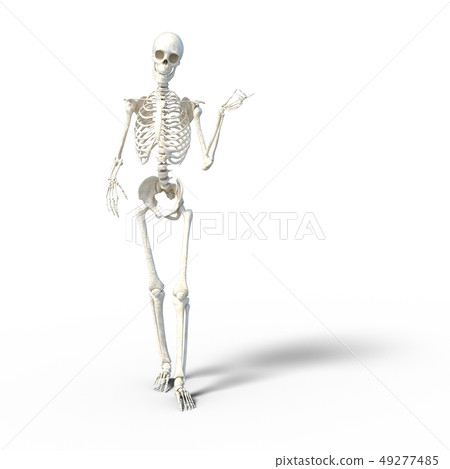 骨架骨架骨架perming3DCG插圖素材 49277485
