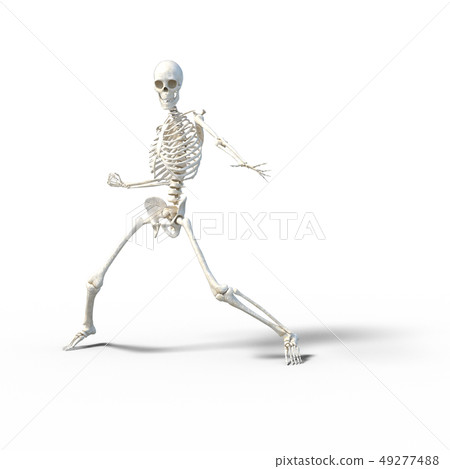 骨架骨架骨架perming3DCG插圖素材 骨架骨架骨架perming3DCG插圖素材 49277488