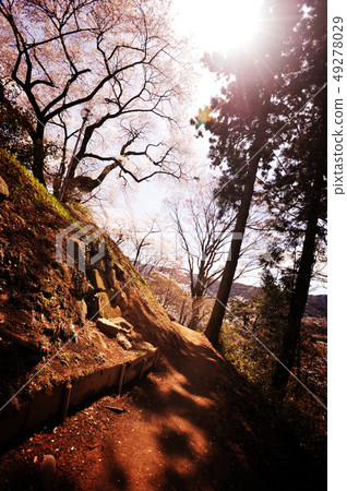 A promenade A promenade 49278029