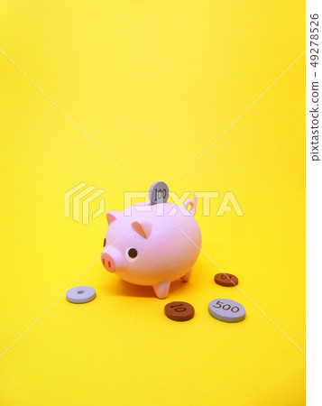 Pig money box 49278526