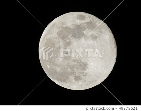 真月滿月 真月滿月 49278621