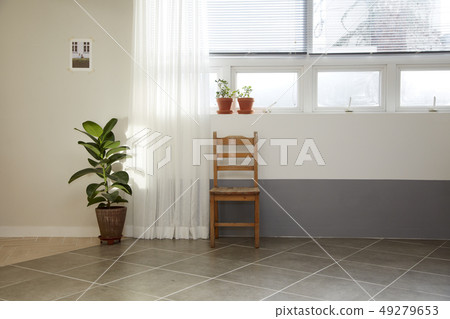 Plants and chairs, wall Plants and chairs, wall 49279653