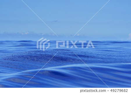 Bonin blue sea bream sea Ogasawara 49279682