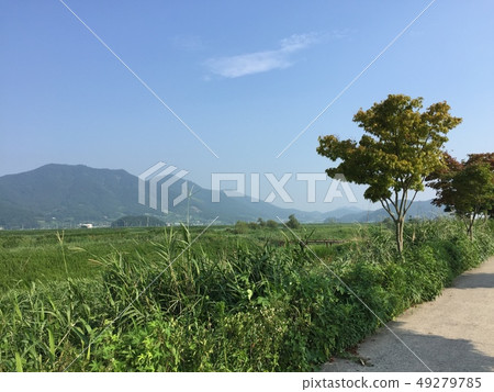 夏日的香味 夏日的香味 49279785