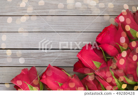 close up of red roses on white background close up of red roses on white background 49280428