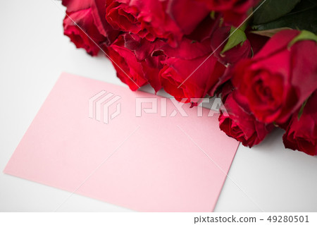 close up of red roses and letter or note 49280501