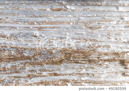 tree bark or wooden surface background tree bark or wooden surface background 49280509