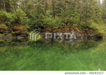 A creek surrounded by forest, Prince William Bay, Alaska A creek surrounded by forest, Prince William Bay, Alaska 49283317