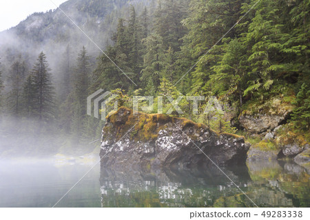 A creek surrounded by forest, Prince William Bay, Alaska A creek surrounded by forest, Prince William Bay, Alaska 49283338