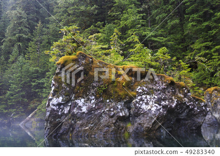 A creek surrounded by forest, Prince William Bay, Alaska A creek surrounded by forest, Prince William Bay, Alaska 49283340