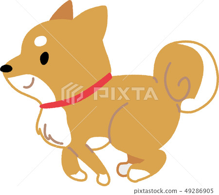 跑Shiba Inu 01 49286905