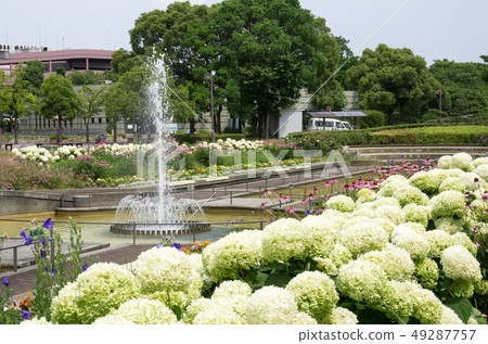 Arakogawa Park Flower Garden 49287757