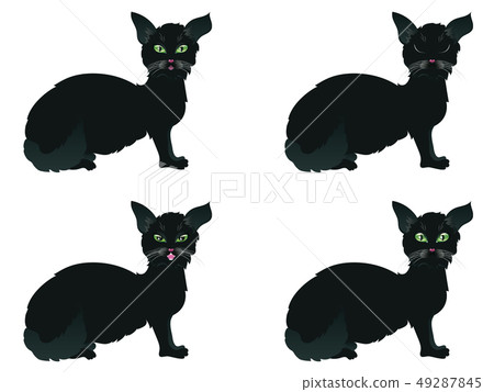 Black Cat with Green Eyes 49287845