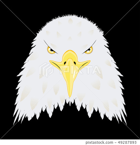 Stylized bald eagle head Stylized bald eagle head 49287893