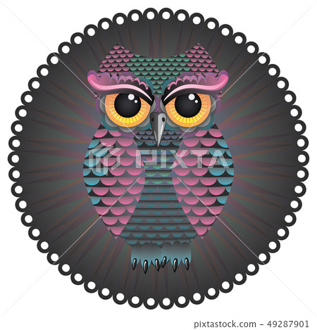 Pink and Blue Color Owl 49287901