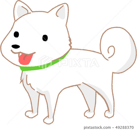 Shiroshiba Shiroshiba 49288370